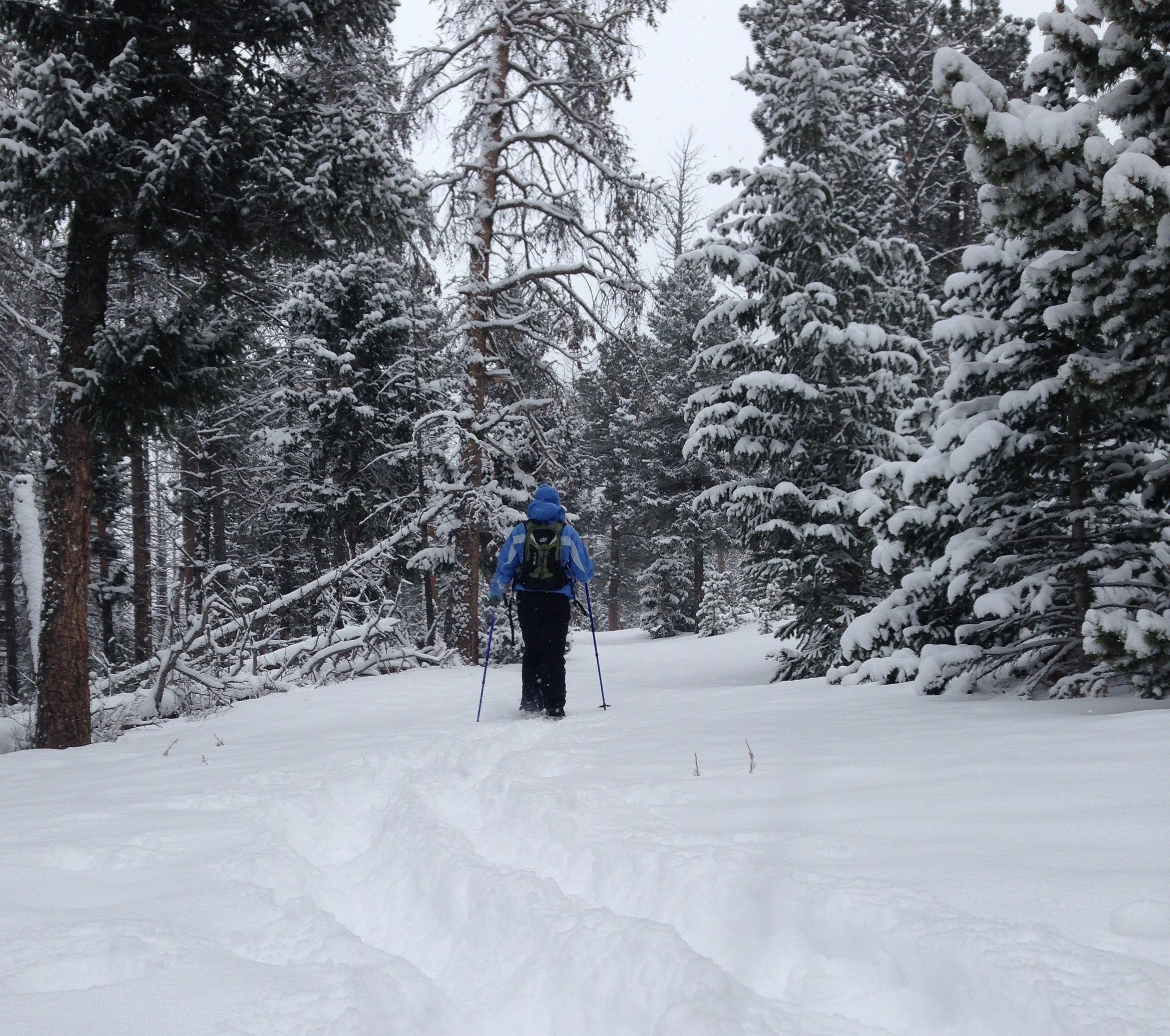 There Is No Better Way to Begin Snowshoeing Than Just Going Out and Doing It!