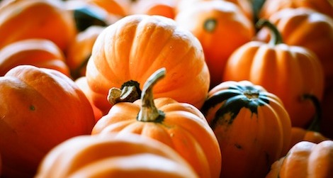 Fall in Love with Pumpkin Recipes