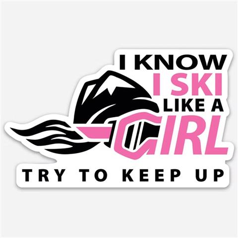 3&quot; Try To Keep Up Sticker