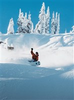 Unisex Family Tree Hometown Hero Snowboard - X-Ray