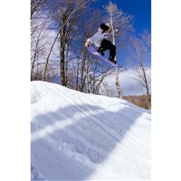 Women's Royal Contact Camber Snowboard