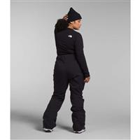 Women's Plus Freedom Stretch Pants - TNF Black