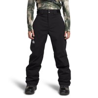 Men's Freedom Stretch Pant