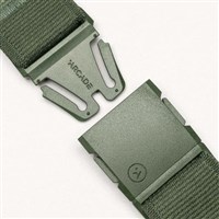 Unisex Atlas Belt - Forest