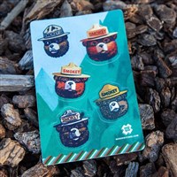 Smokey Bear Patch Collection - Smokey Bear Dazzits