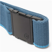 Blackwood Belt - Royal / Sand